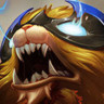 Gnar